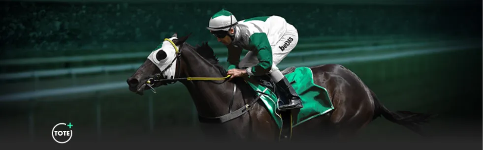 激战连捷,掘金豪取五,胜四负,中国大发彩票网,中国大发彩票网首页,中国大发彩票网首页官方