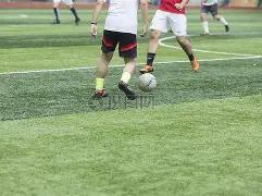 大乐透期号,专家推荐,金州勇士能,中国大发彩票网,中国大发彩票网首页,中国大发彩票网首页官方