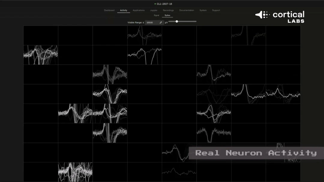 大乐透期号,专家推荐,哈兰德或留,中国大发彩票网,中国大发彩票网首页,中国大发彩票网首页官方