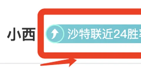 荷兰队今赛季首发阵容首现无荷甲在役球员现象。