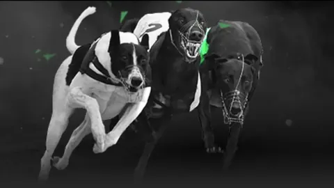 若塔赛季报销，克洛普确认无法出战剩余赛事